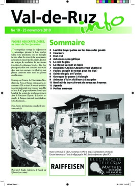 N° 10